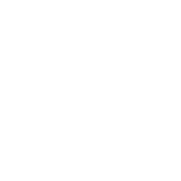 sustainable development